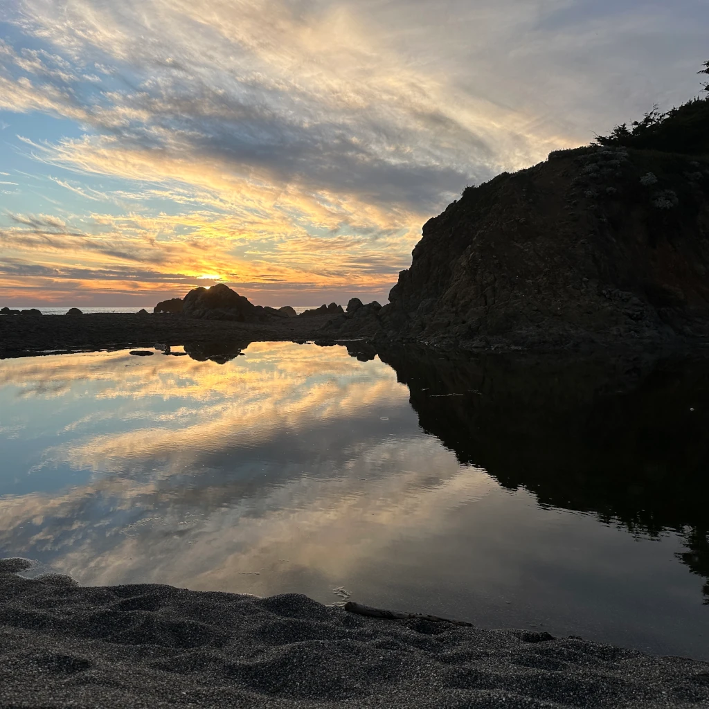 Health and Wellness Consultation